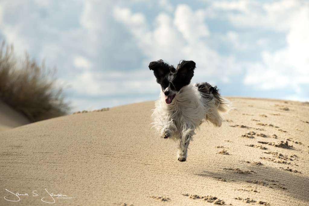Westfire's A Lightning Strike