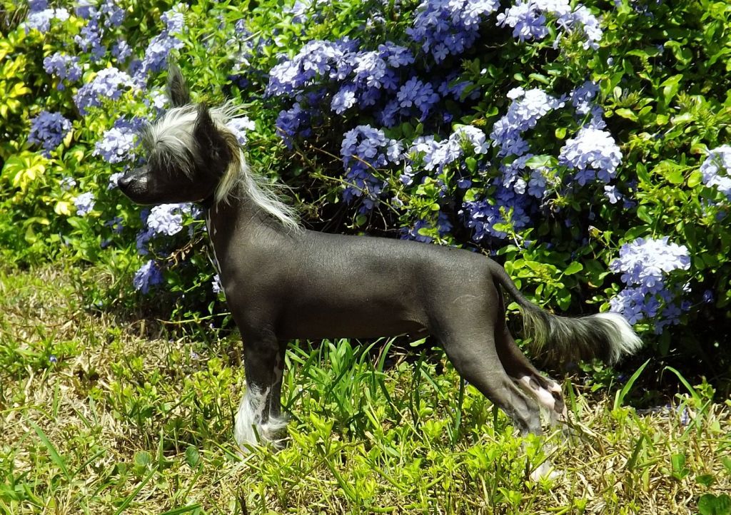 Kalypso's Big Bang Bazinga