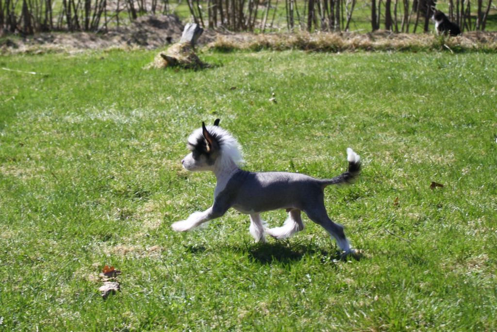 Love Bites Hold On To My Heart