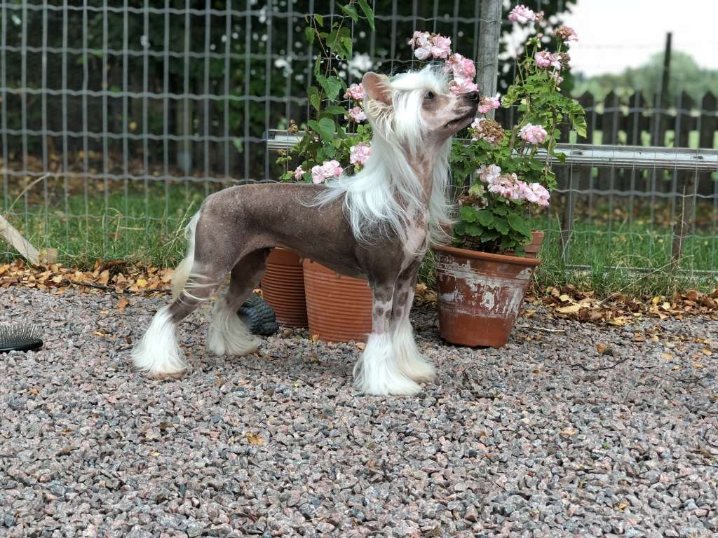 Speechless The Winner Takes It All