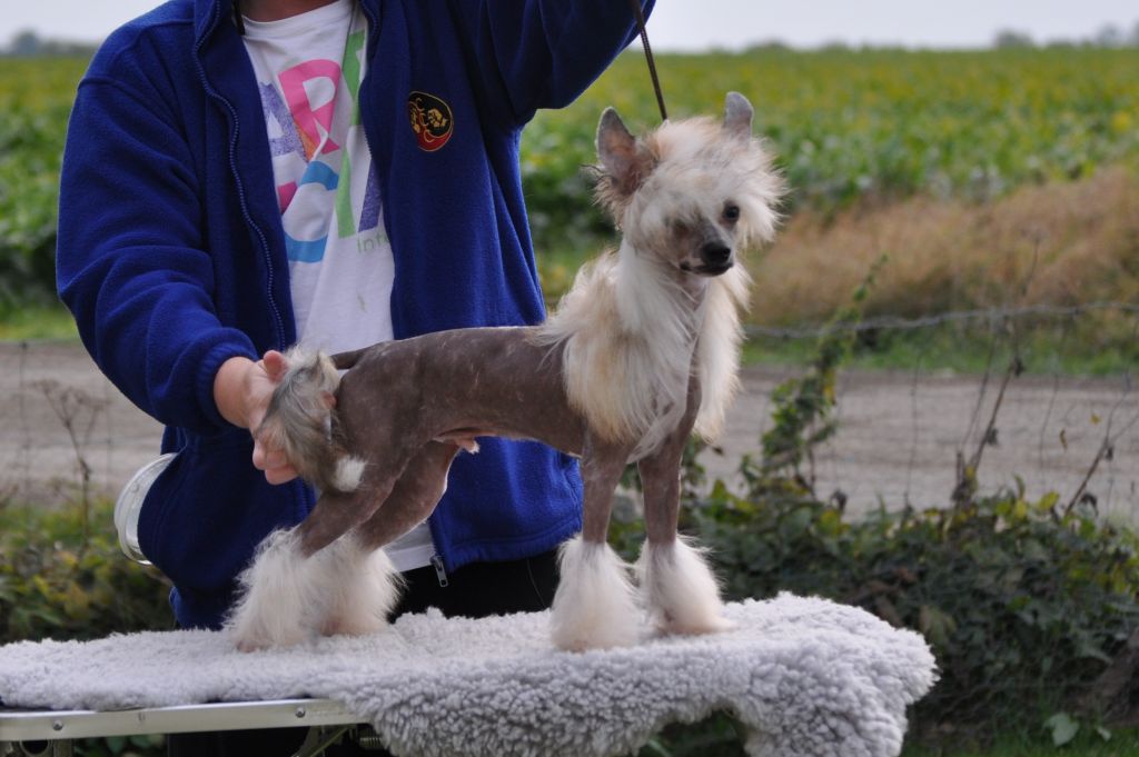 Speechless Sitting In The Palmtree