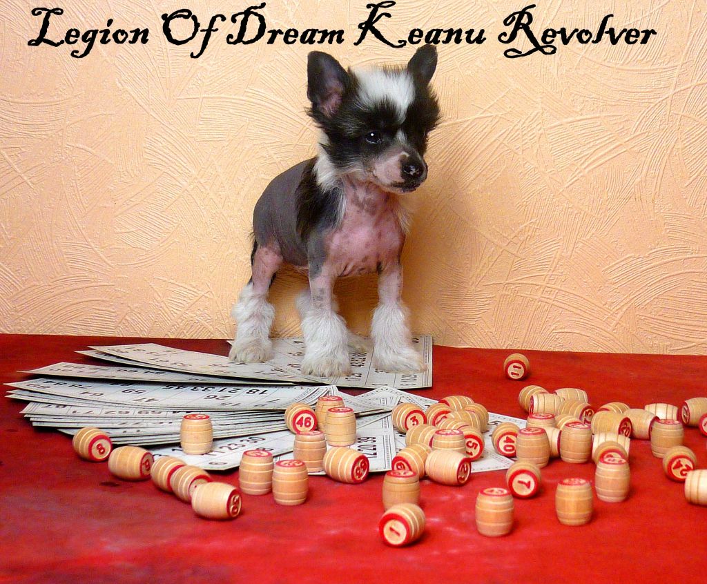 Legion Of Dream Keanu Revolver