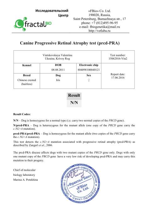 Iris (the Chocolate-carrier)  Pra / Pll Clear