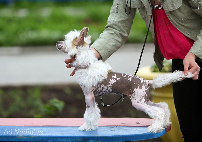 Bruno Banani Winning Smile