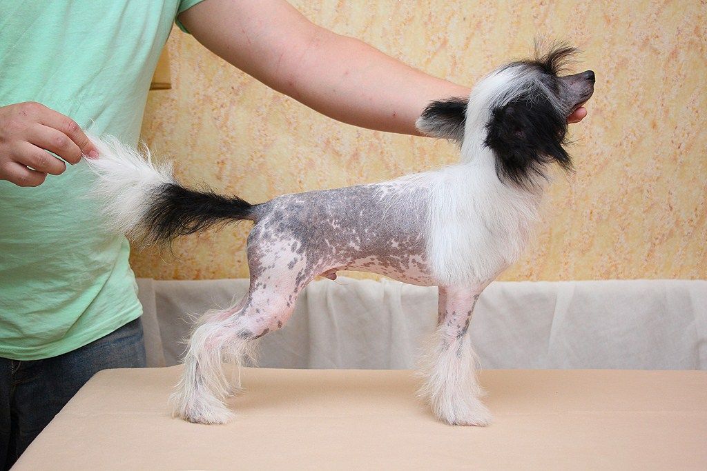 Benjamin Franklin iz Serebryanogo Raya