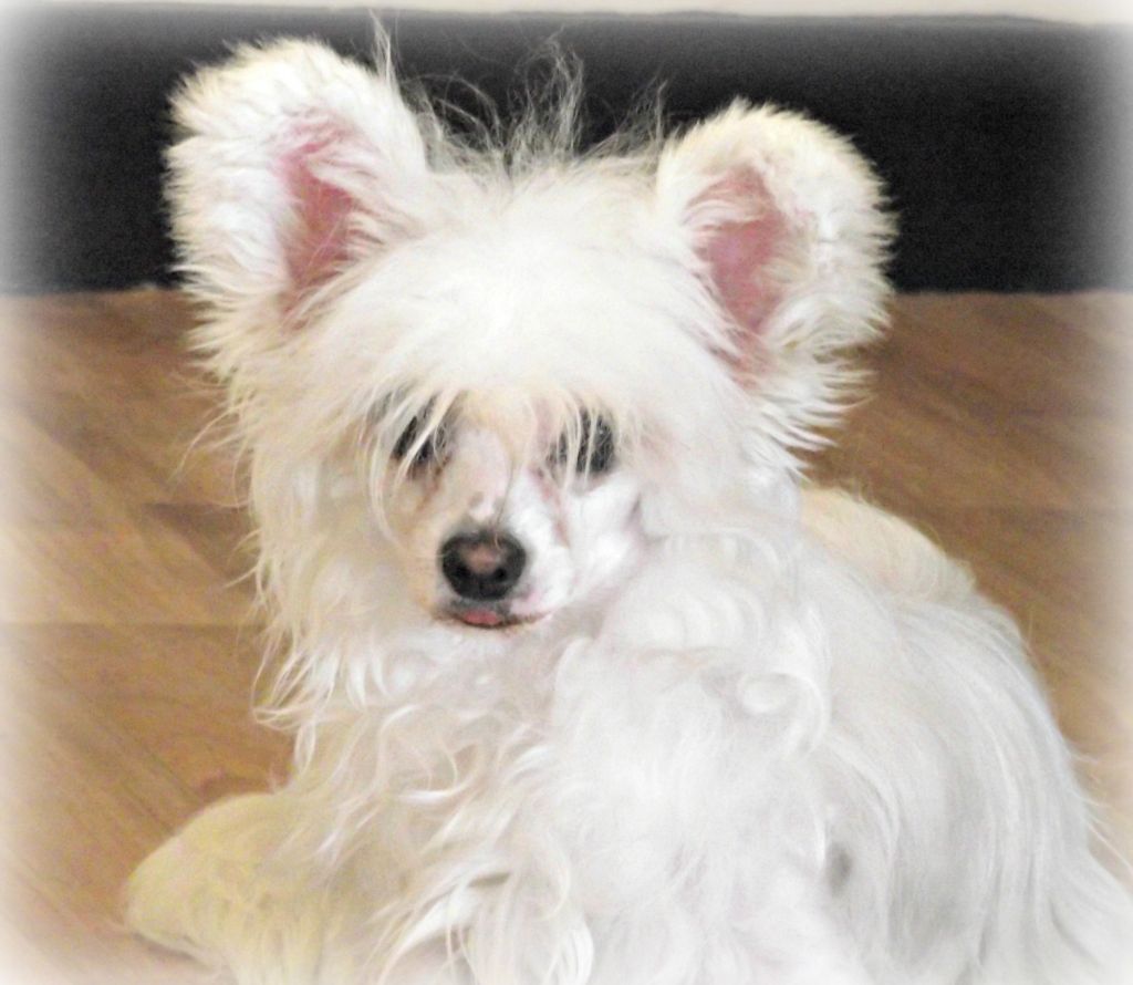 Lakenta Rainbow at Cad iz