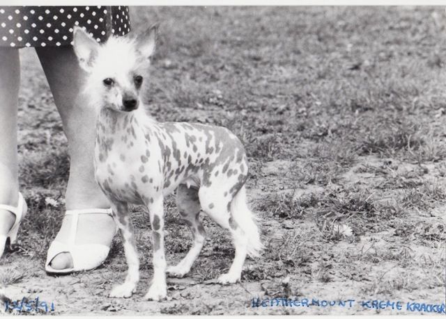 Heathermount Kreme Kracker