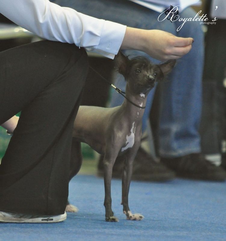 Miinuksen Black Happy Angel