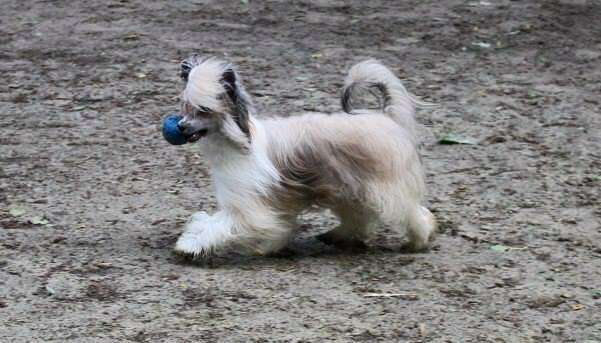 Ma Star Top Model De Rama