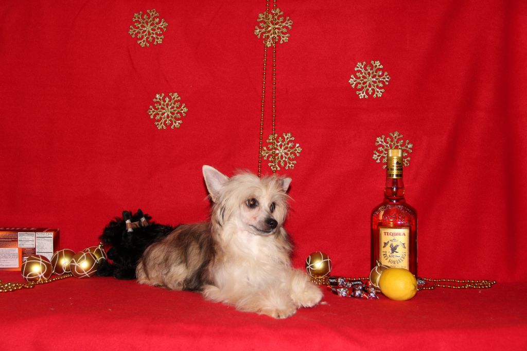 Karamelka Tutti Frutti