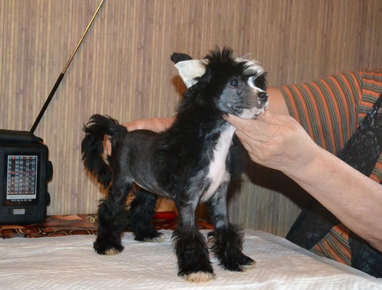 Vellar Pljus Kilmer Rita