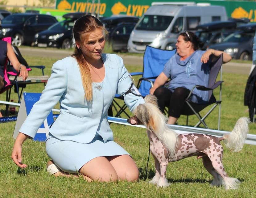 Blendverk's Drops Of Joy