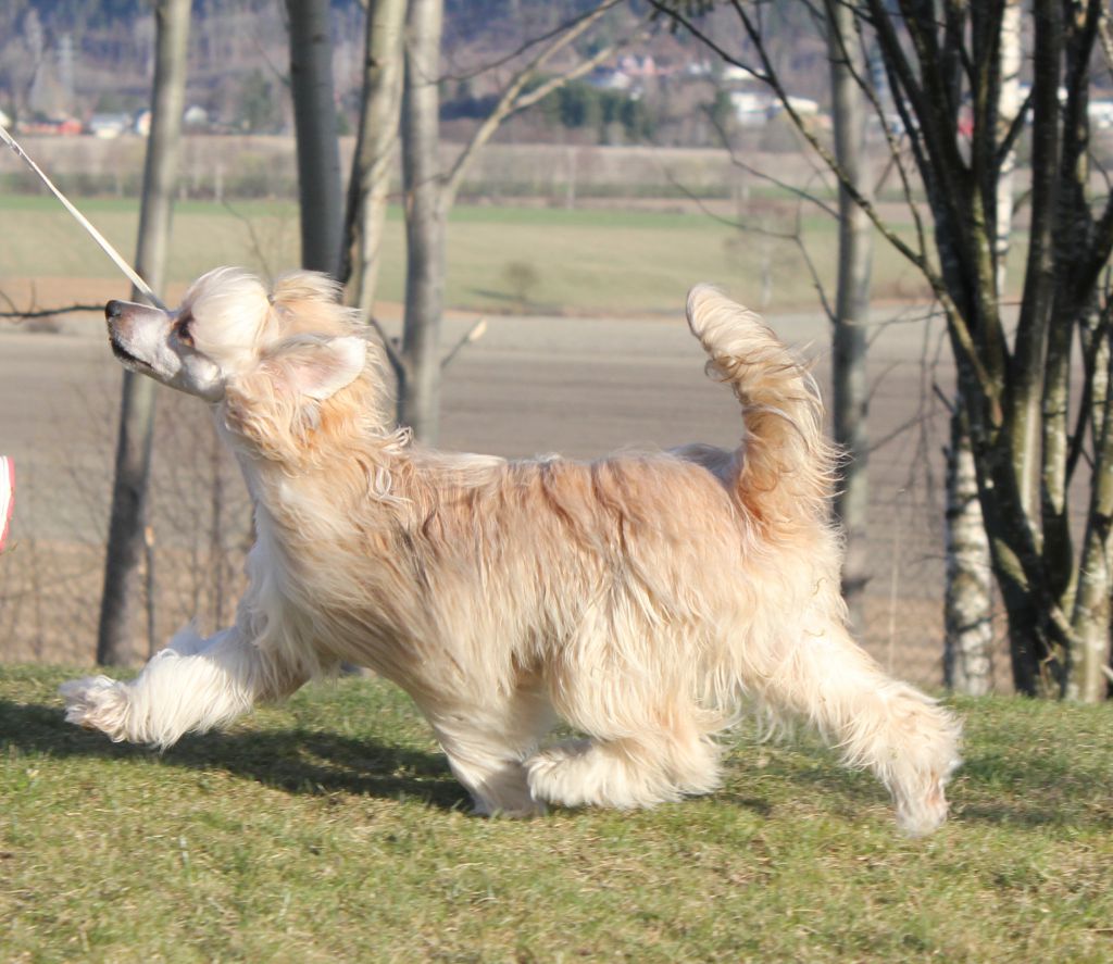 Blendverk's Deer Hunter