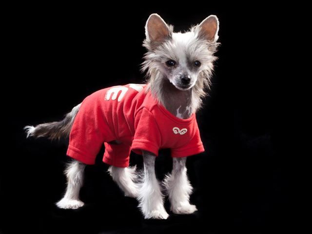 Miss Rikiki Top Model De Rama