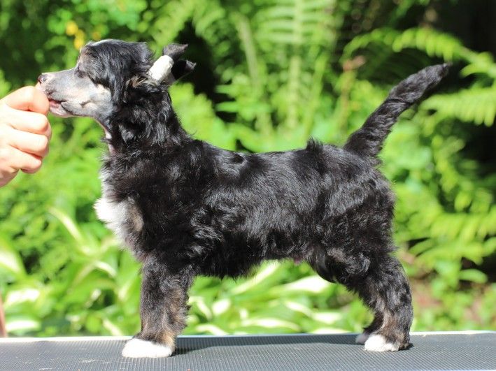 Maybell's Quincy Kiss Me Quick