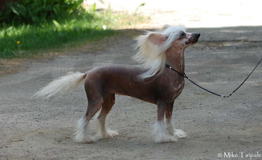 Maybell's Quiet Fire