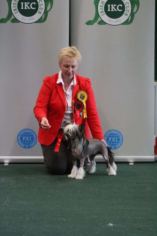 PANDORA Z Lowickiego Ksiestwa