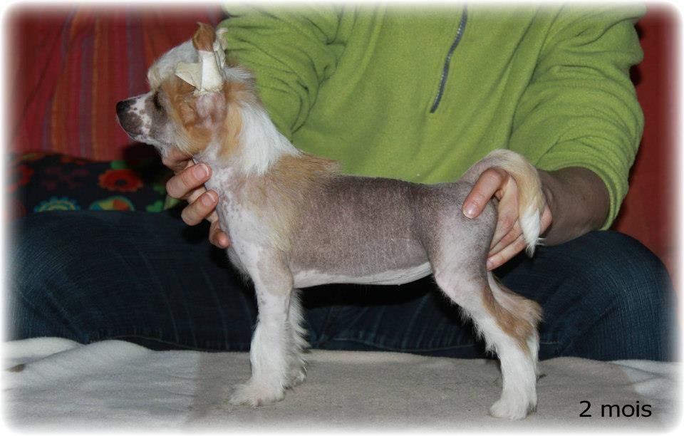 Izys Of Sabichbyllbi of Course