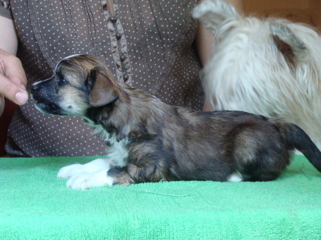 SALLY Sidabrine Tuopa