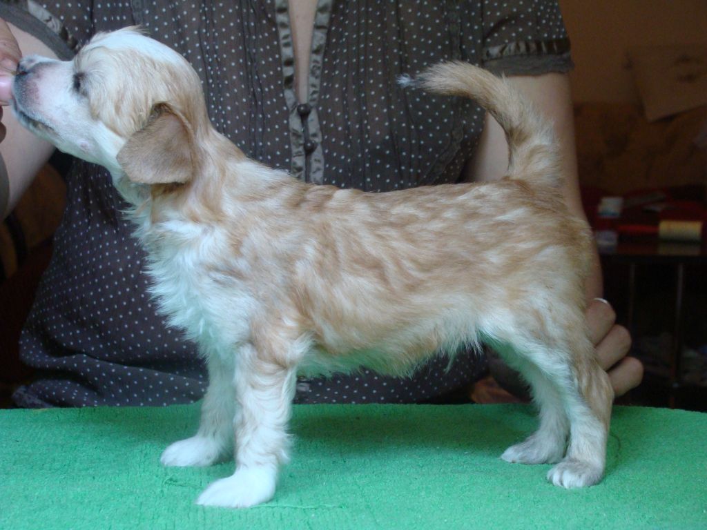 SIDNEY Sidabrine Tuopa