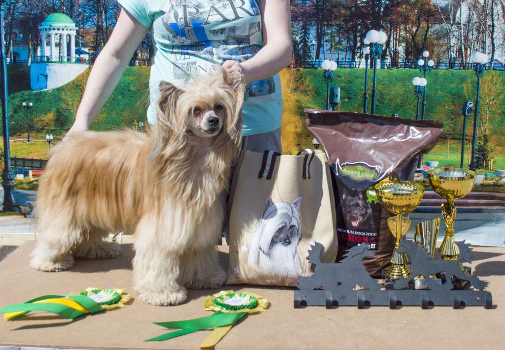 Incanto Del Mondo Ermak