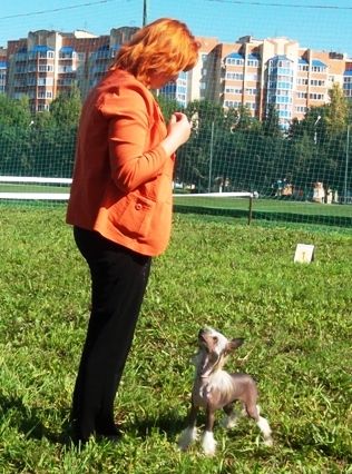 Solveig Goro Gandwik