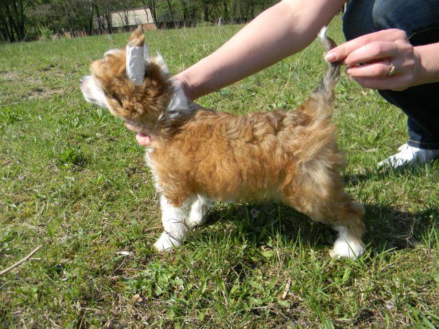 Melanies Rerity Paloma Picasso