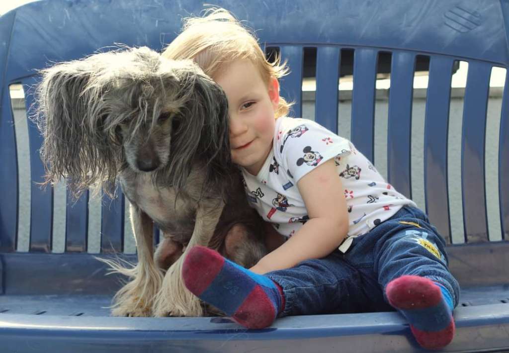 Volshebnaja Loshadka Zhameli