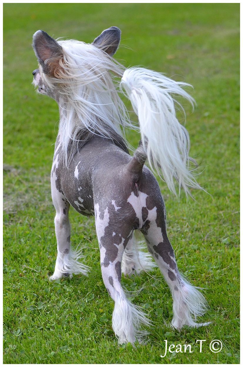 Only The Best My Dream Came True