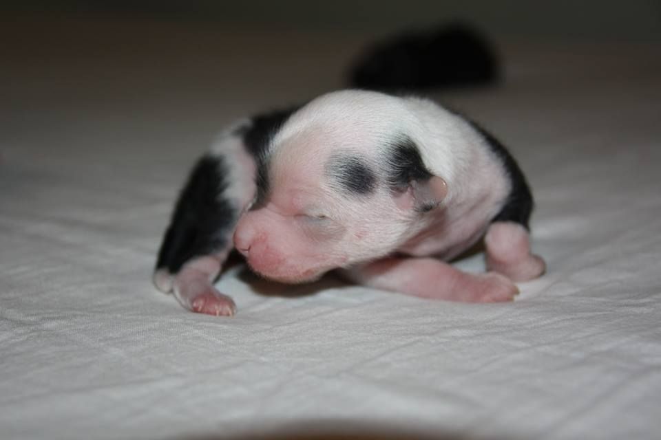 Lickershamns Inga-Kläder