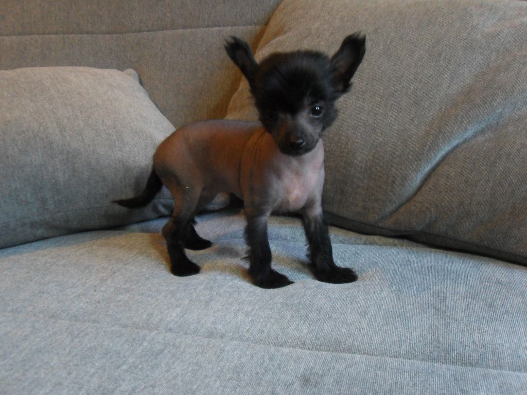 Tselliya Beautiful Stranger