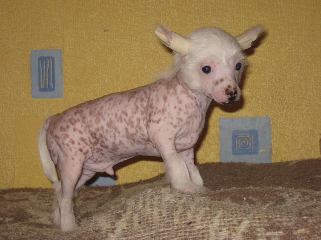 Melanies Rerity Secret