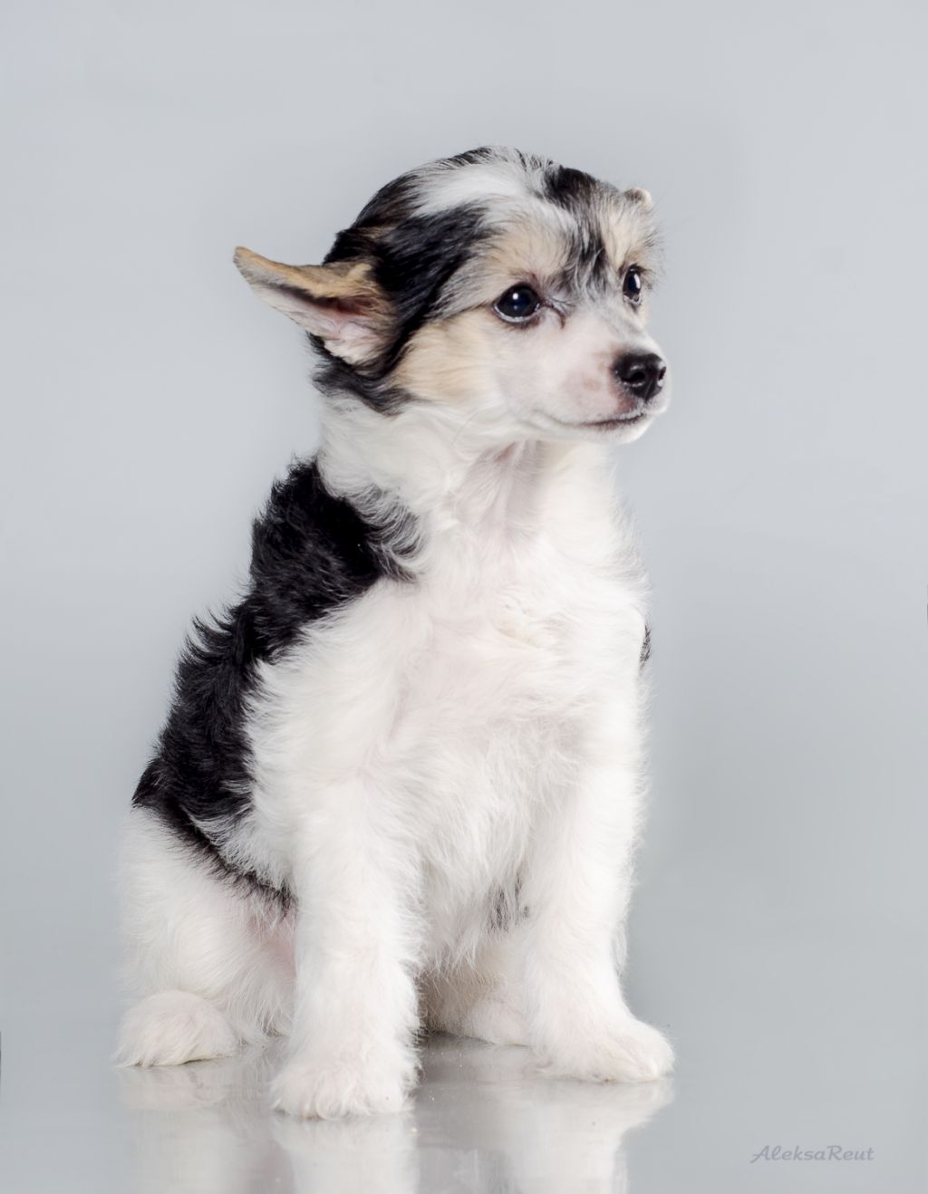 Ladushka Iz Strany Kutha