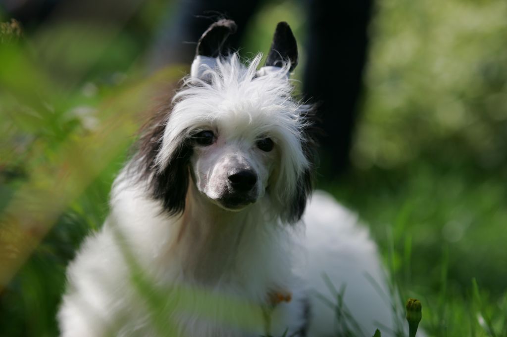 Famrus Temptation of my eyes