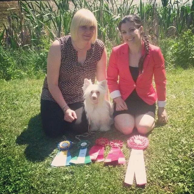 Yrar Practically Perfect