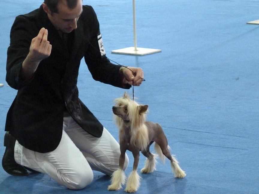 Birchvölgyi red hot chilli