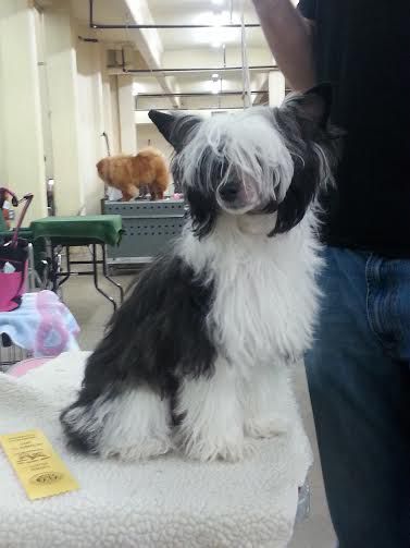 Klearly Strut Your Stuff