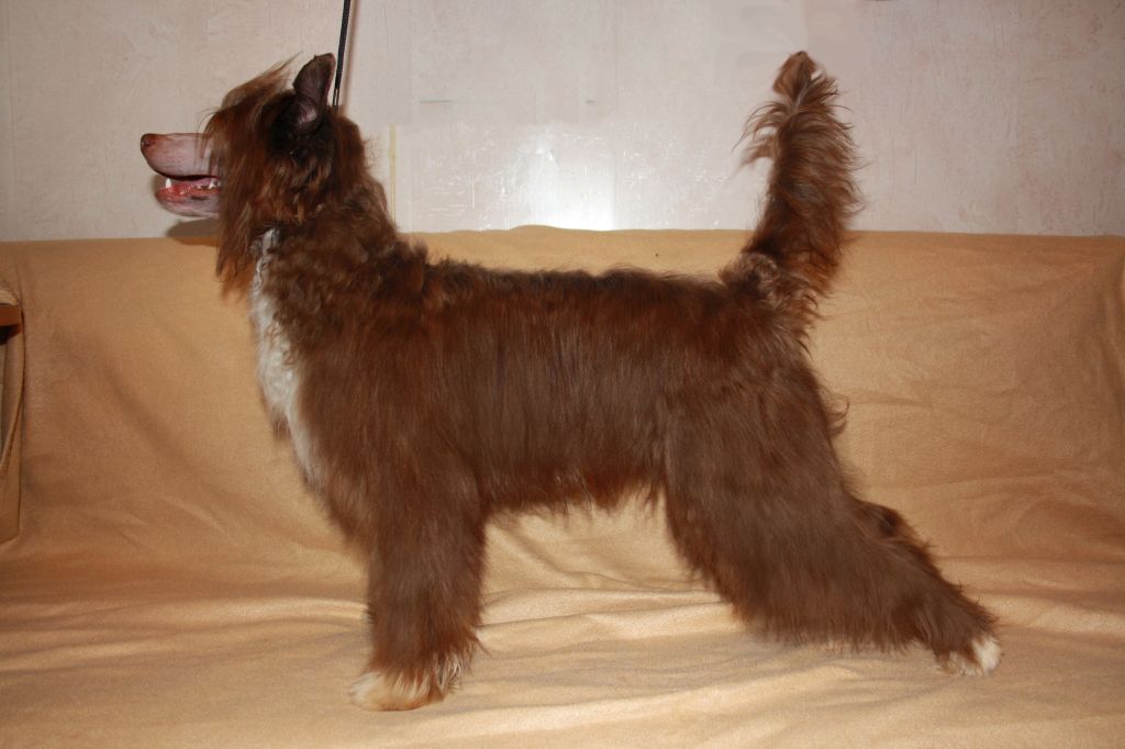 Lang Shi Yastas Eshli Roi