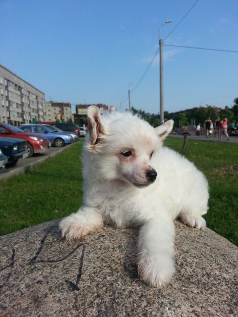 My Vanity Fair Impossible to Forget