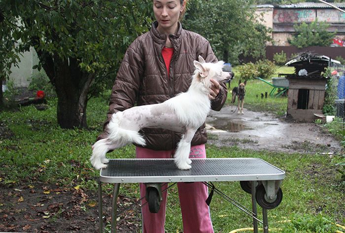 Olegro Katrin Devastating Blow