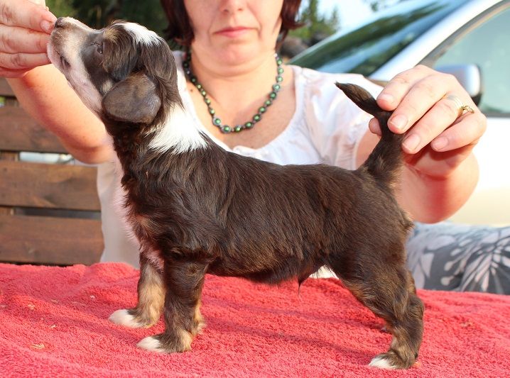 Burlesque Lust For a Vampire