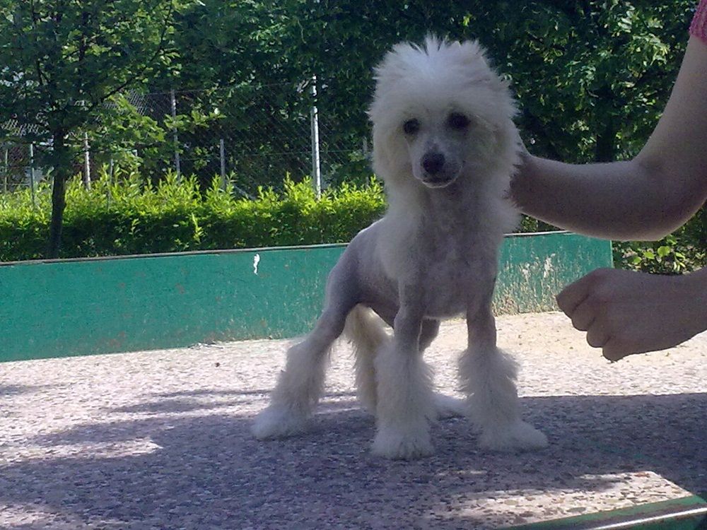 Never Ending Story Jakard Wejherstaff