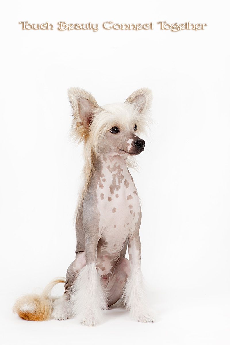 Touch Beauty Connect Together