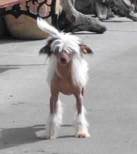 Sonniema Undo My Buttons