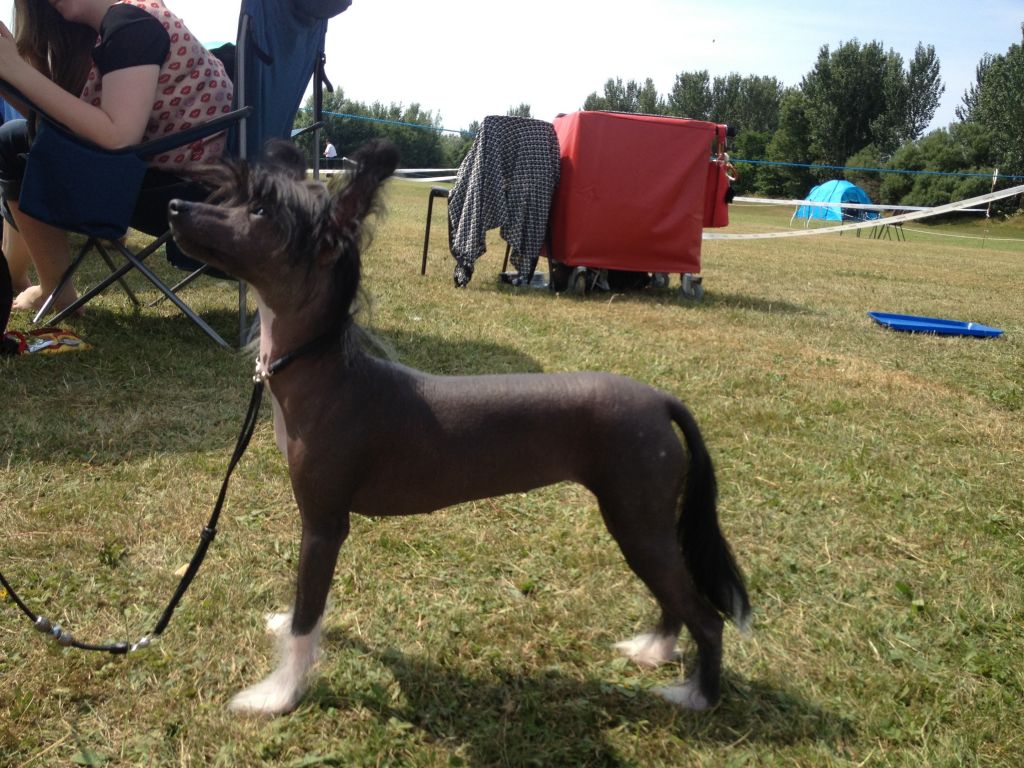 Myglee's Pretty Young Thing