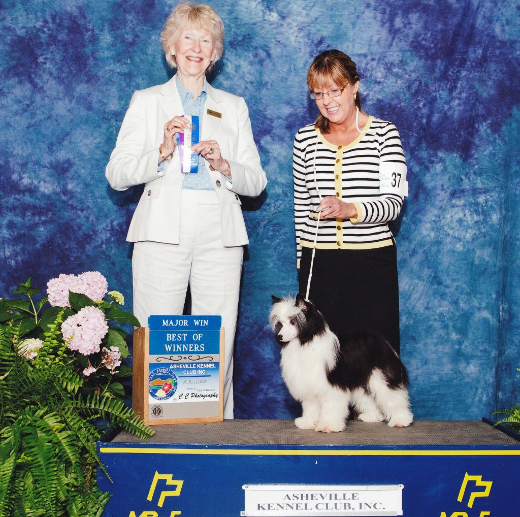 Shadowfox Blu Taboo of Diva