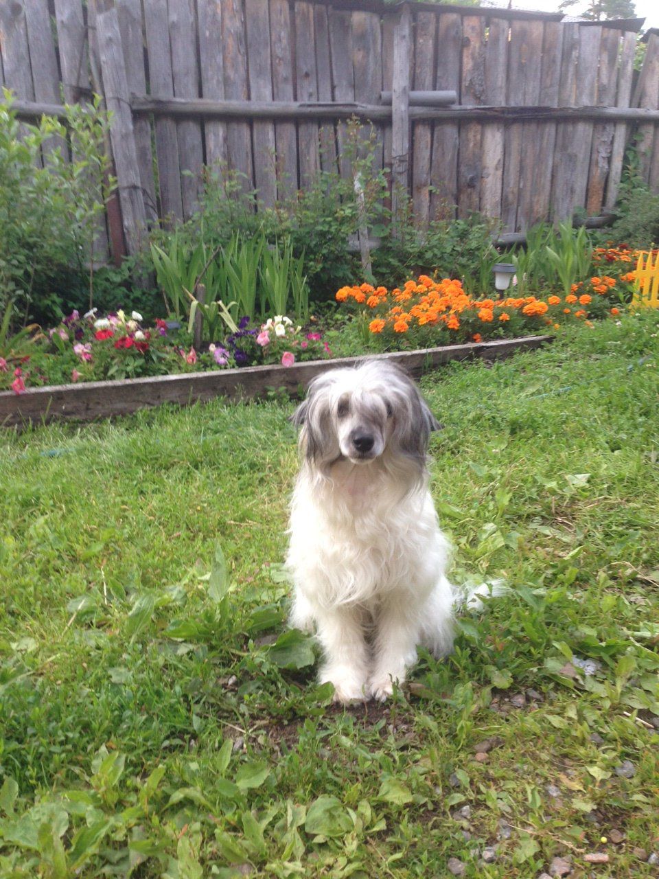 Landkris Nagissa Mia