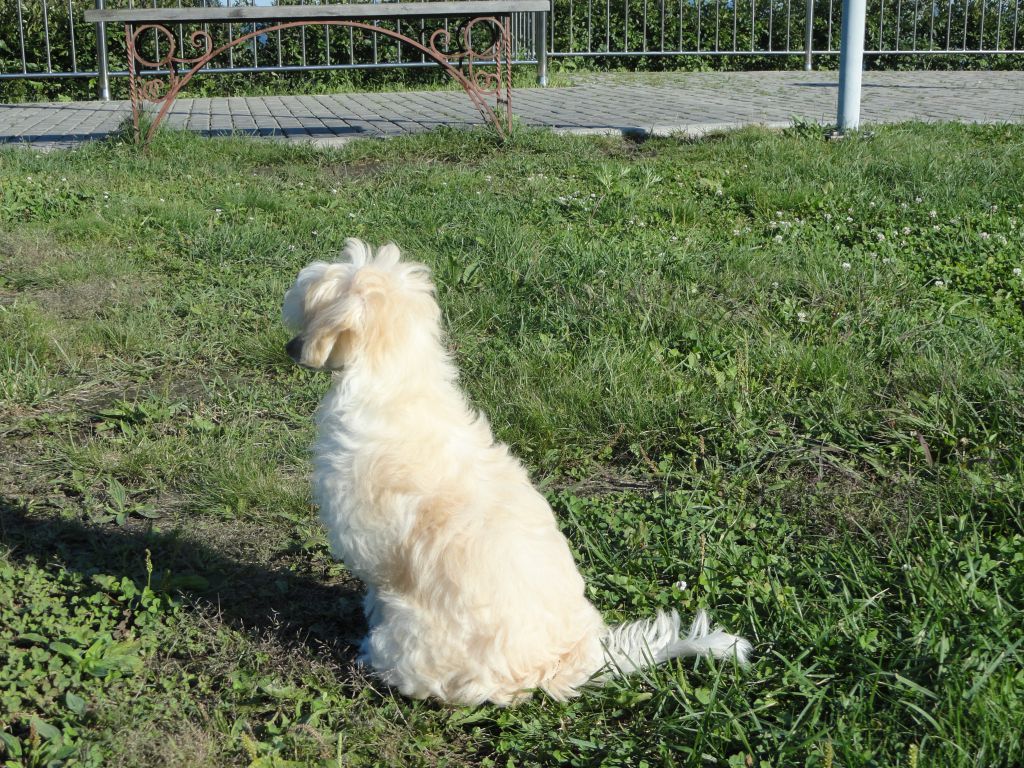 Rus Terra Trinity Quiet