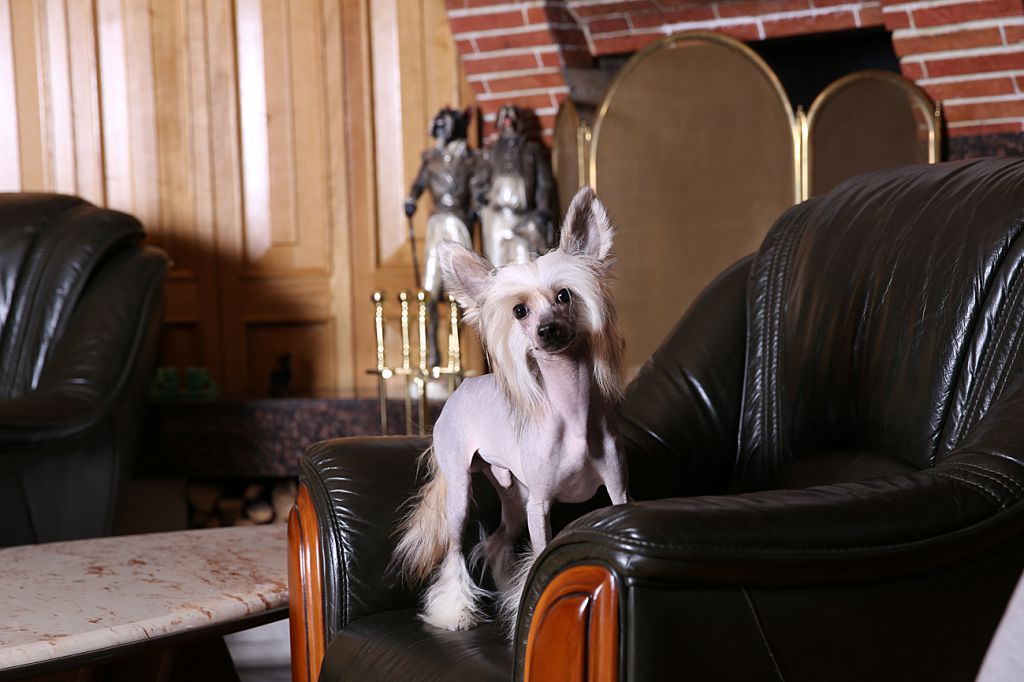 Incanto Del Mondo Je t'aime