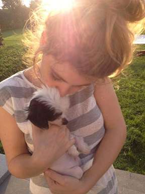 Cat's China Dogs Ultra Blitz Boy